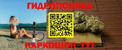 стаф Канаш