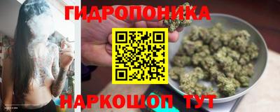 МДПВ Камышлов