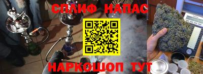 МДПВ Камышлов