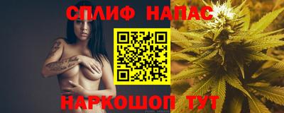стаф Канаш