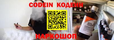 МДПВ Камышлов