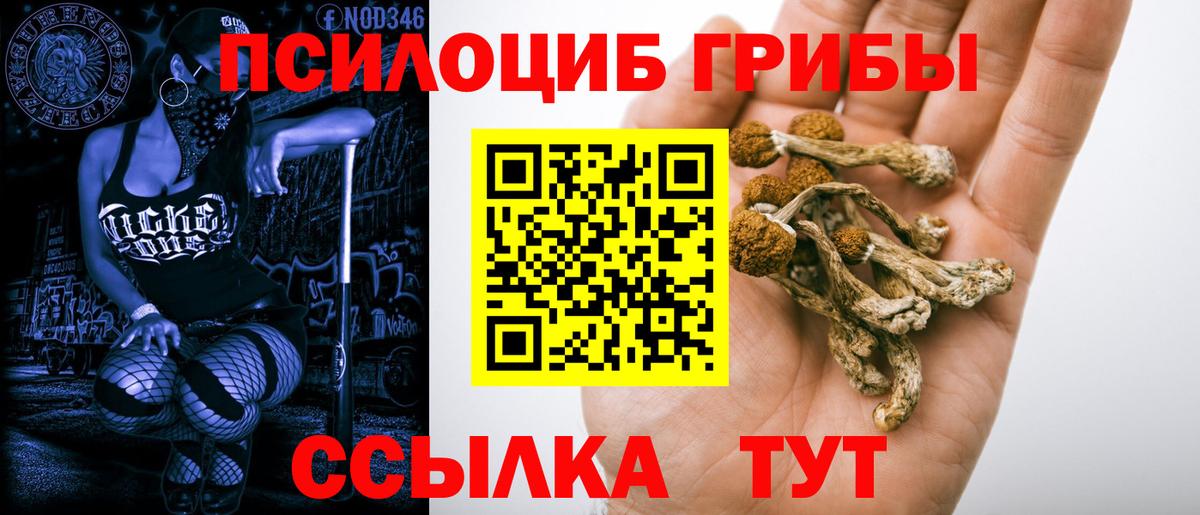 Галлюциногенные грибы Magic Shrooms Лесосибирск