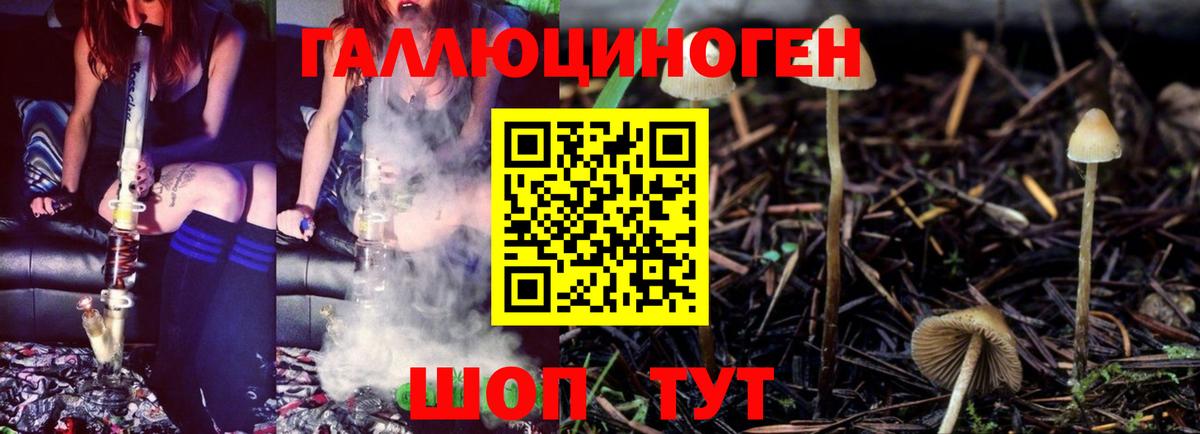 Галлюциногенные грибы Magic Shrooms  Галлюциногенные грибы Magic Shrooms  Лесосибирск  Вход с VPN 